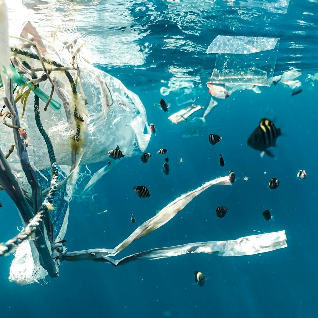 Plastic waste in the ocean and fish swimming around it