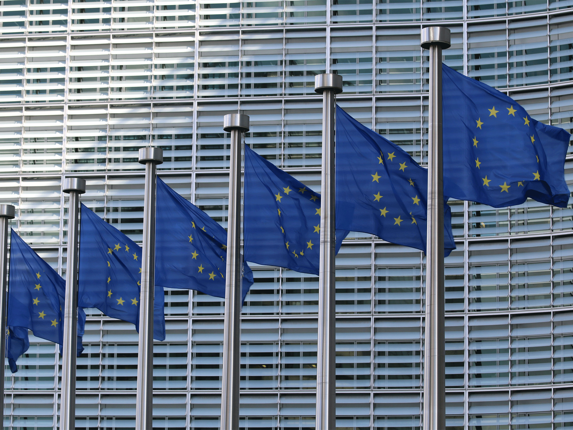 A row of European Union flags